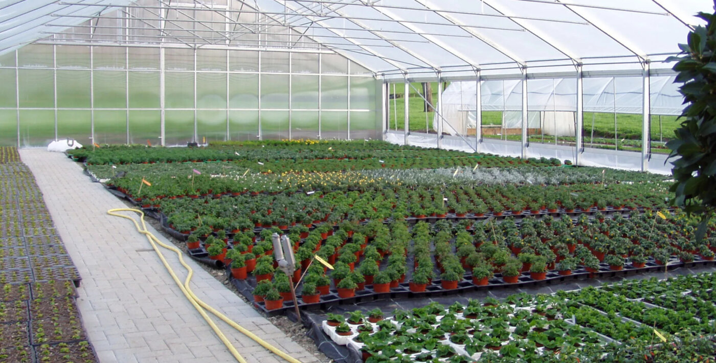 Pflanz Bauwerk Aktuelles Gewaechshaus Banner 03