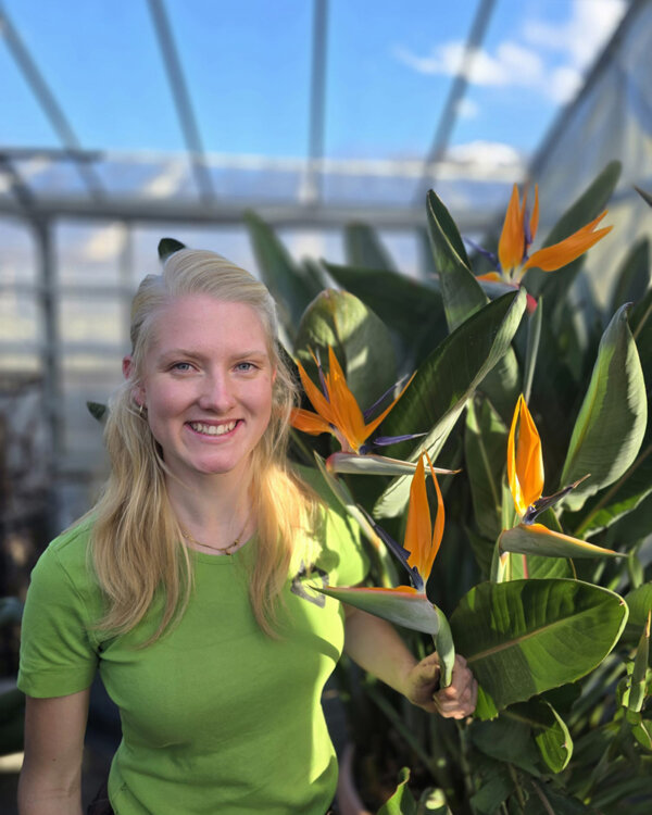 Pflanz Bauwerk Menschen Tamara von Ah